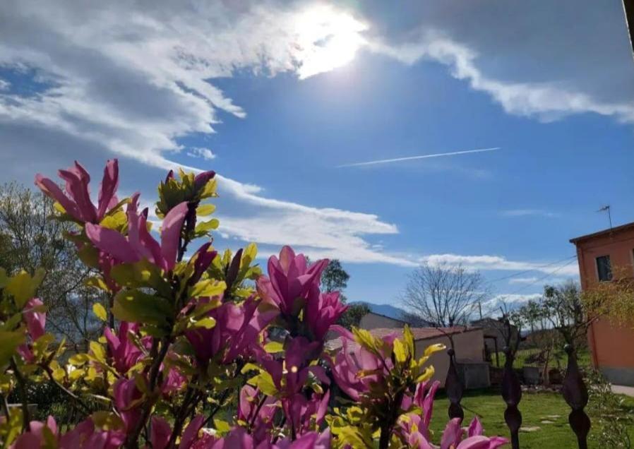 B&B Da Manuela Macchiagodena ภายนอก รูปภาพ